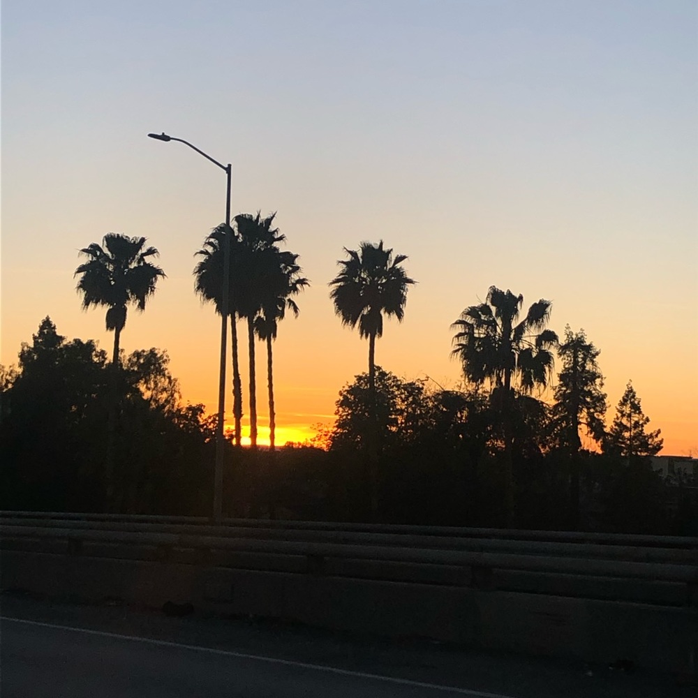 Meet your Posher, Julianne